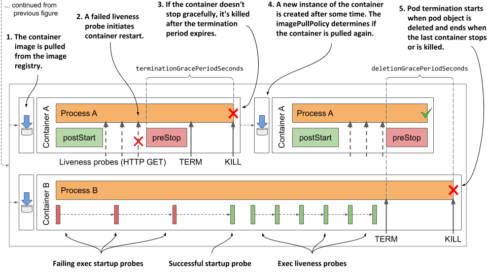 Understanding The Pod Lifecycle Kubernetes